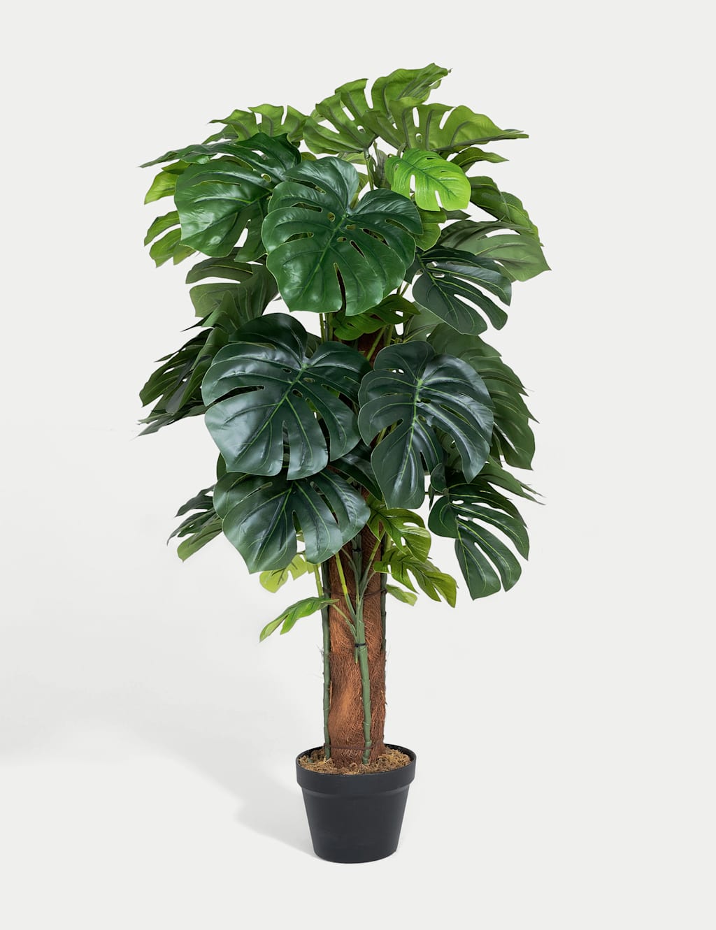 Blooming Artificial Artificial 4ft Monstera House Plant on Pole - Green - Available at M&S