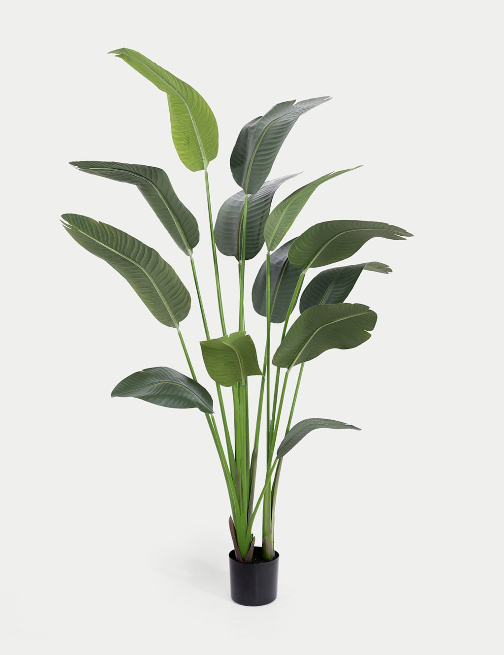 Blooming Artificial 6ft Artificial Strelitzia Plant - Green - Available at M&S