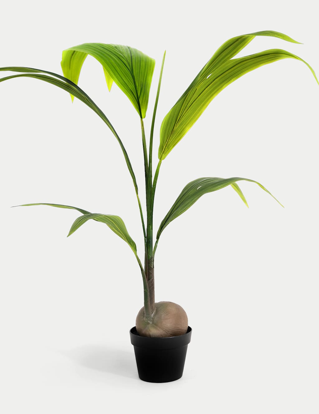 Blooming Artificial 4ft Artificial Coconut Palm - Green - Available at M&S