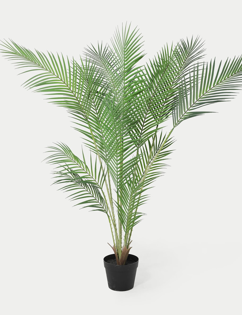 Blooming Artificial 4ft Artificial Majesty Palm Tree - Green - Available at M&S