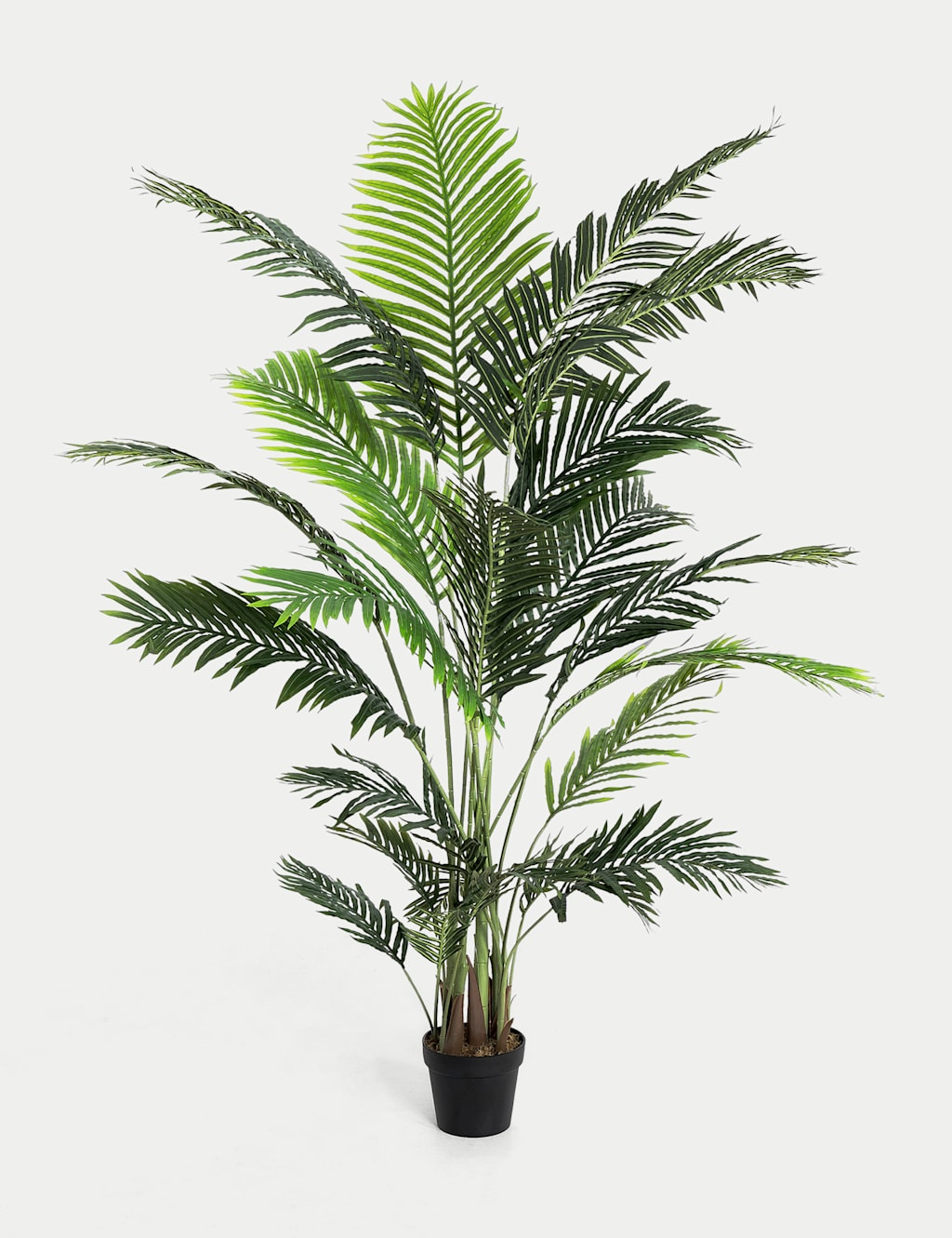 Blooming Artificial 6.5ft Artificial Indoor Paradise Palm - Green - Available at M&S