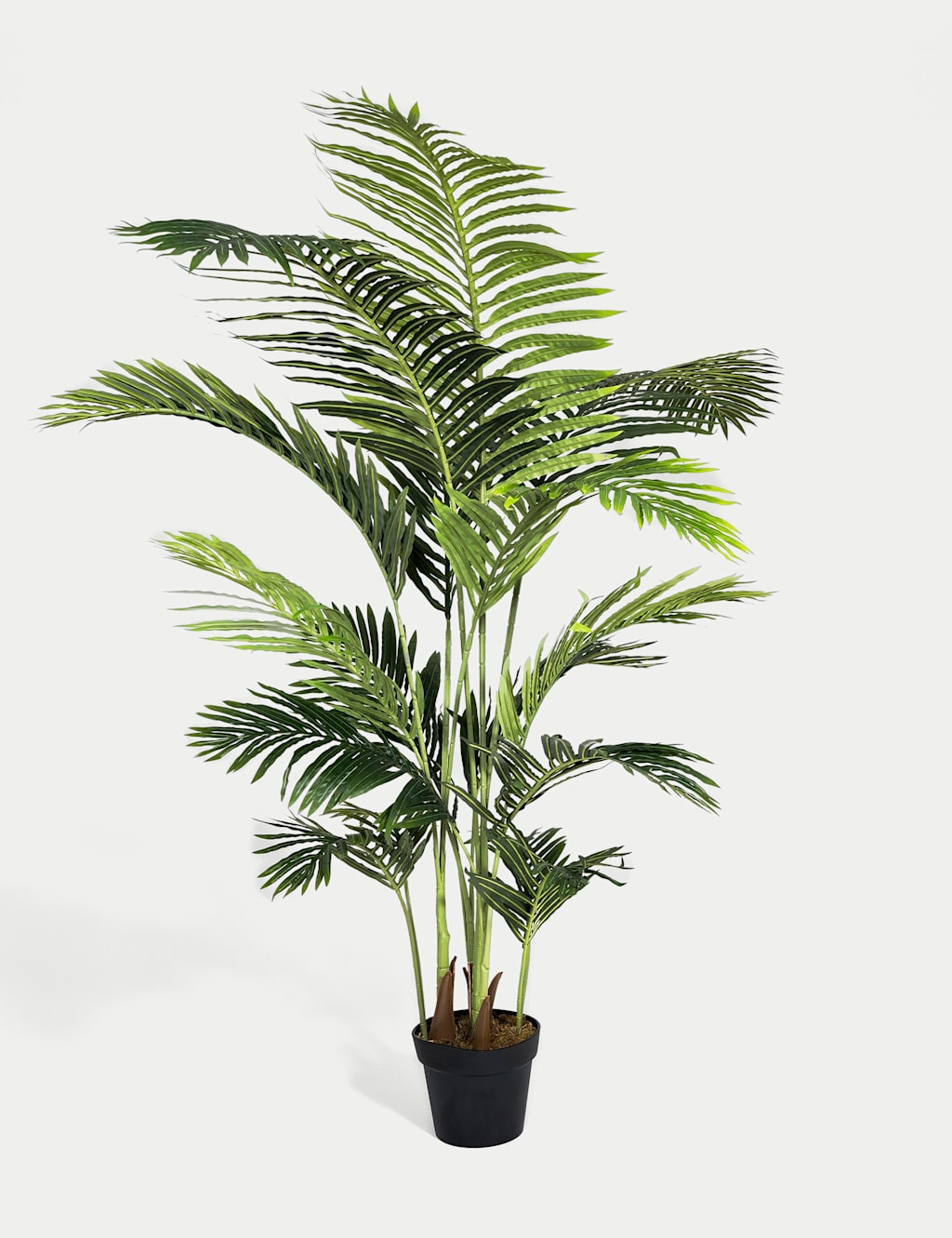 Blooming Artificial 6ft Artificial Indoor Paradise Palm - Green - Available at M&S