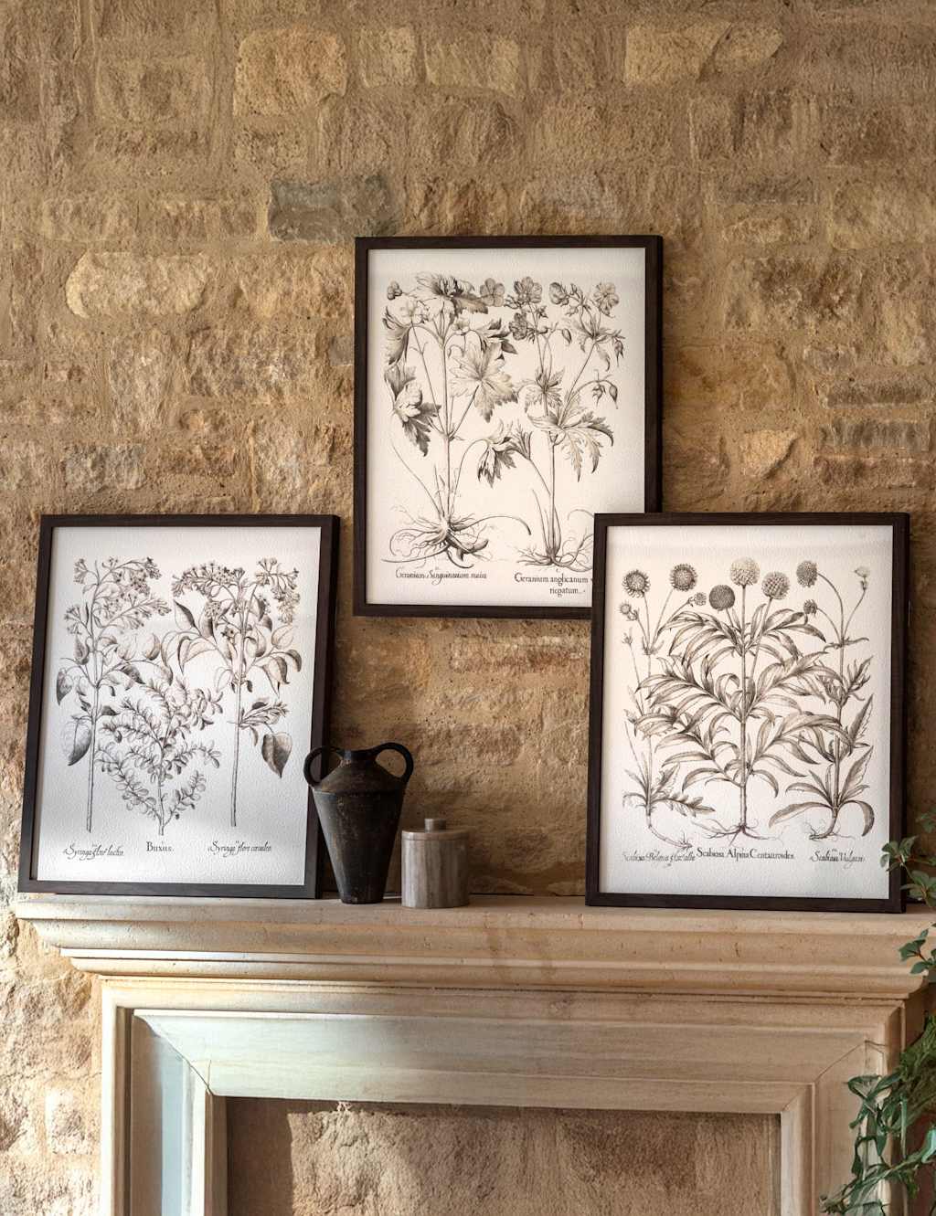 Gallery Direct Set of 3 Evergreen Framed Art Black