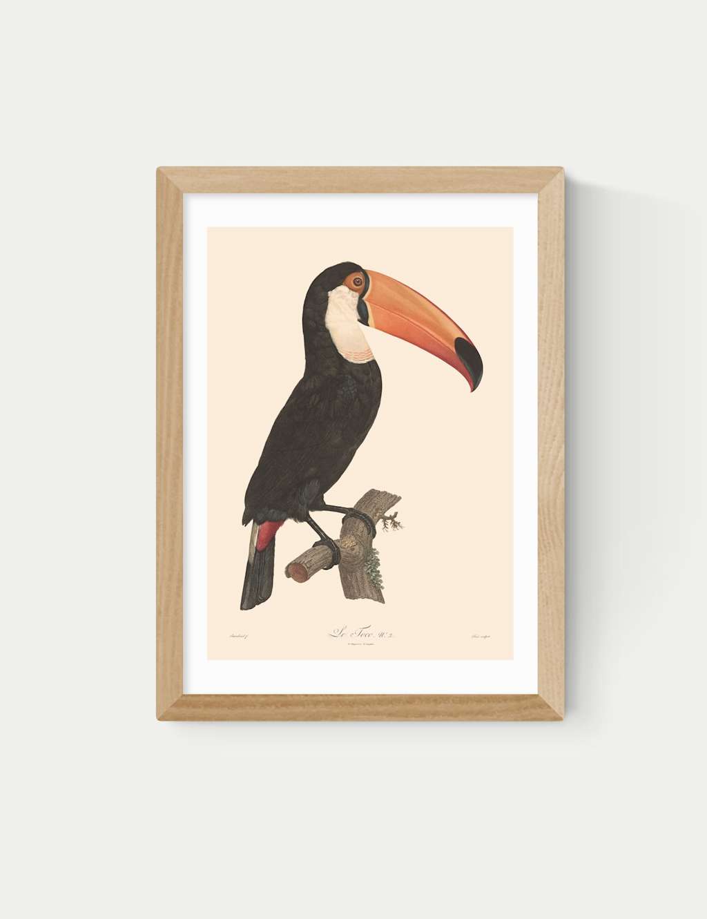 East End Prints Toucan by Aster Framed Art - A3 - Natural - Available at M&S