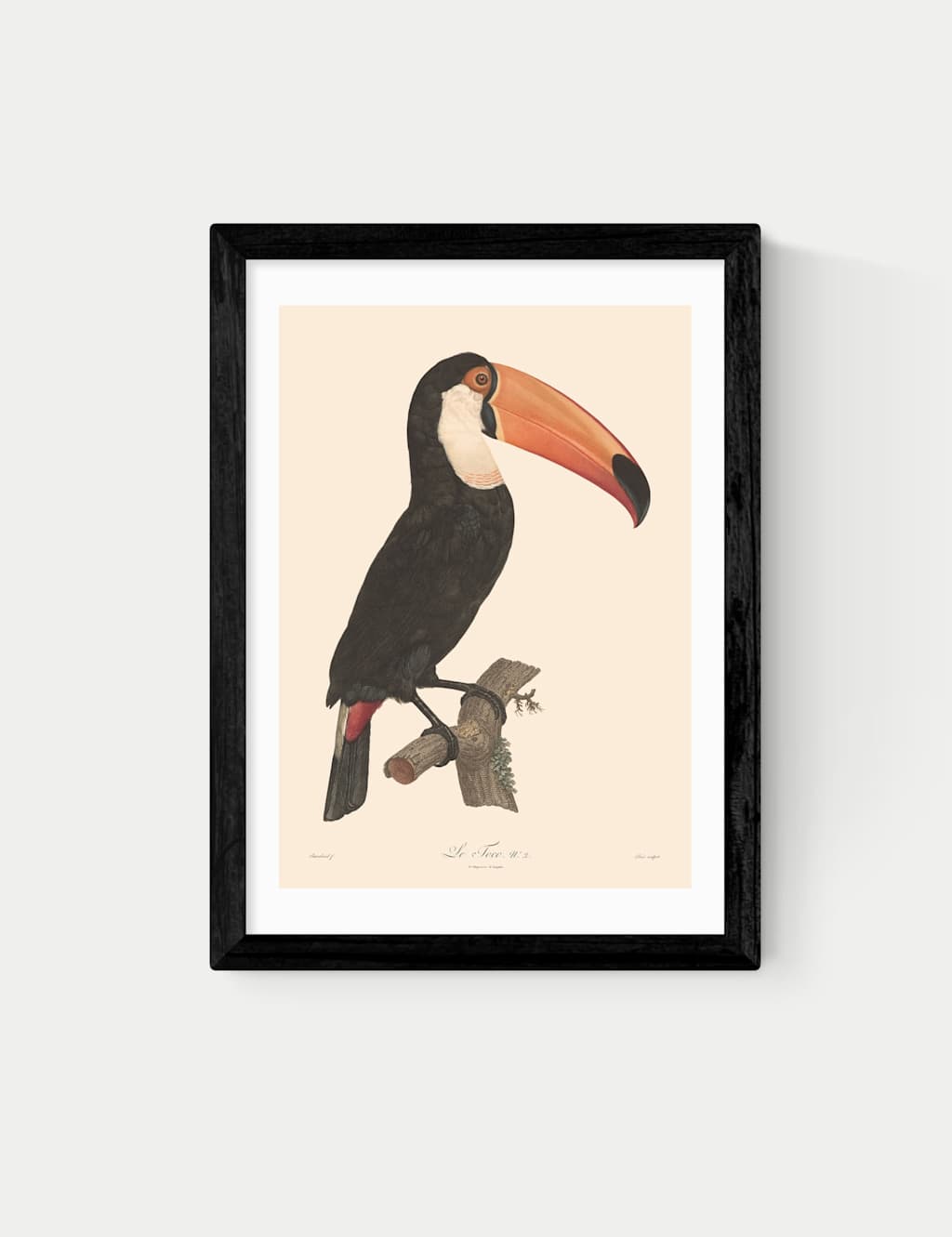 East End Prints Toucan by Aster Framed Art - A3 - Black - Available at M&S