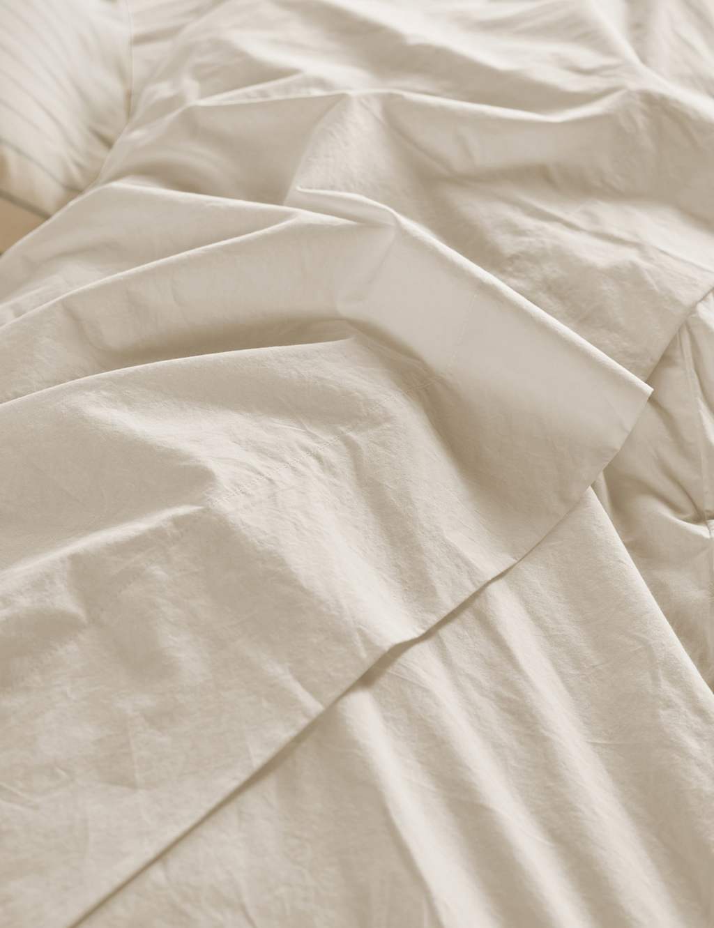 Piglet In Bed Pure Washed Cotton Percale Flat Sheet - Single (3 ft) - Cream - Available at M&S
