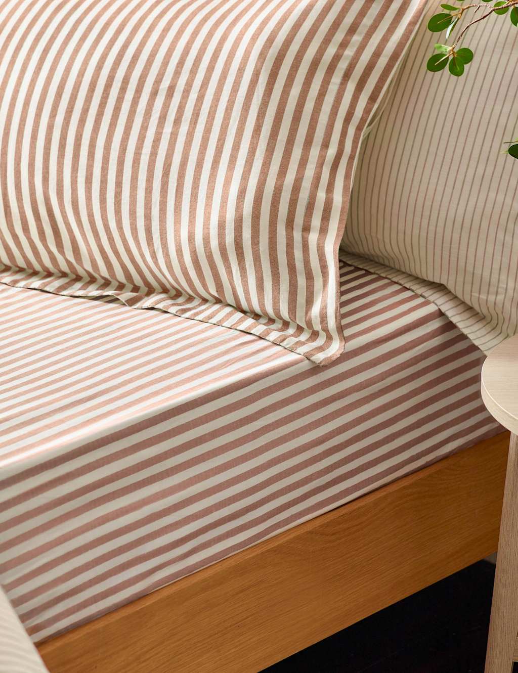 Yard Pure Cotton Striped Fitted Sheet - Super King Size (6 ft) - Brown - Available at M&S