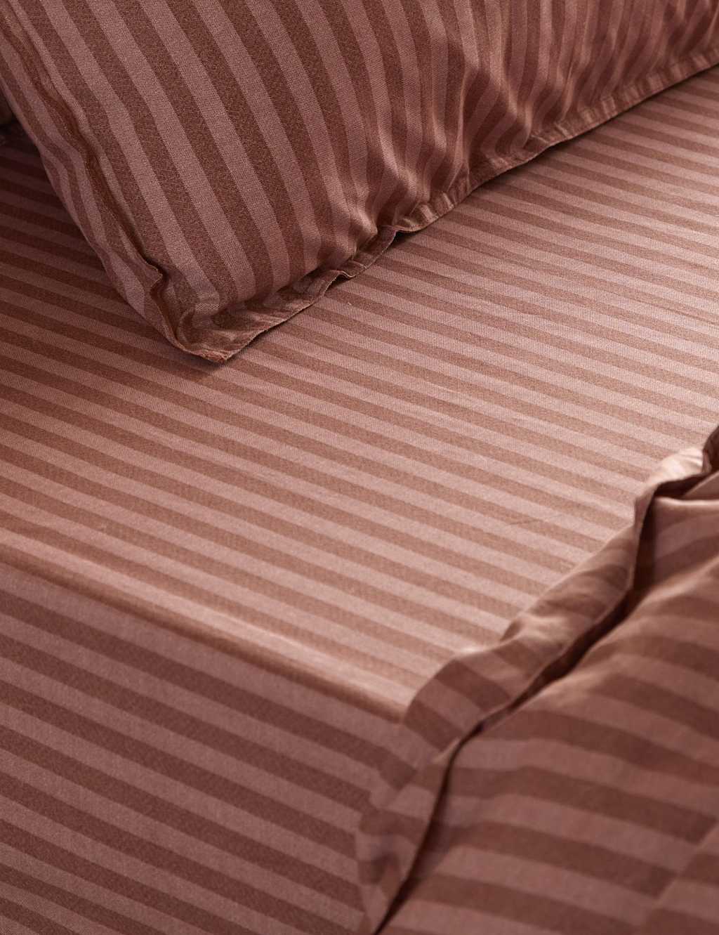 Yard Pure Cotton Marlow Striped Fitted Sheet - Super King Size (6 ft) - Chocolate - Available at M&S