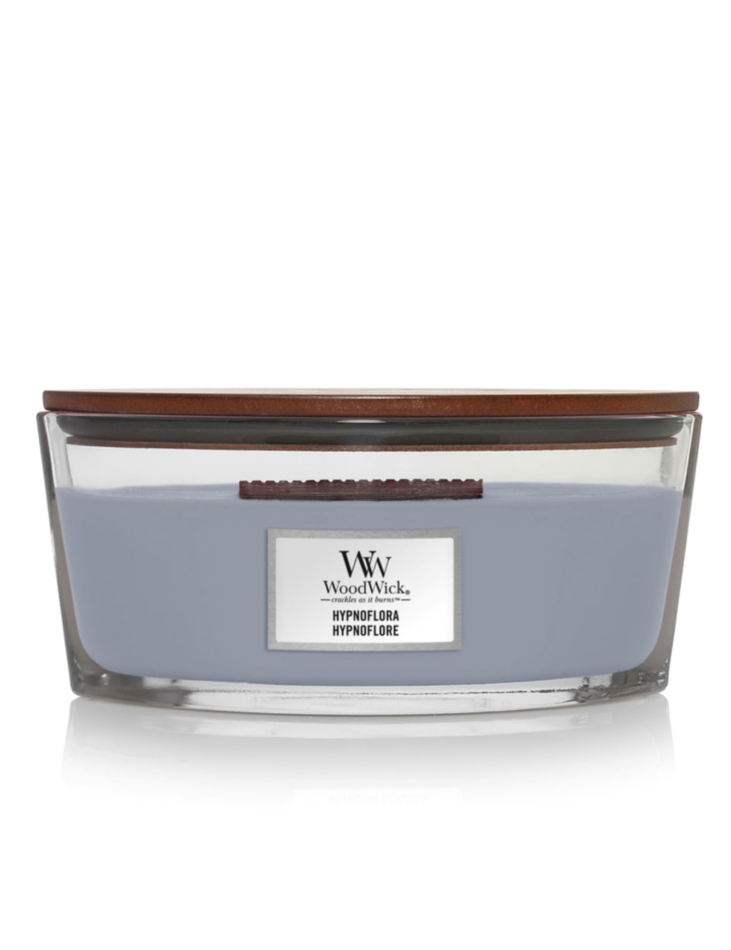 Ellipse Hyponflora Jar Candle
