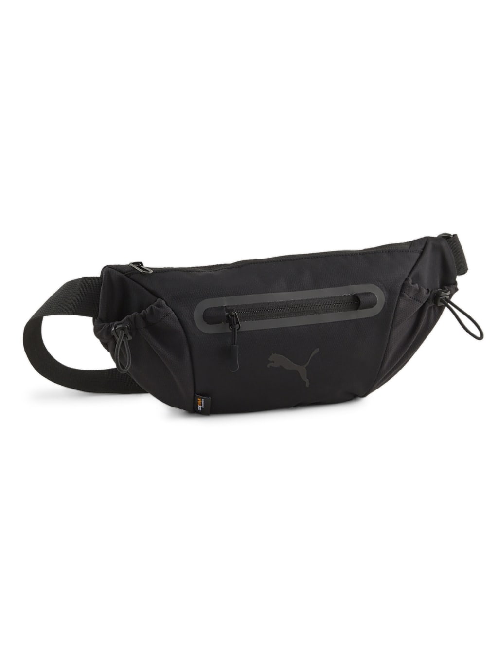Fanny bags online 2025