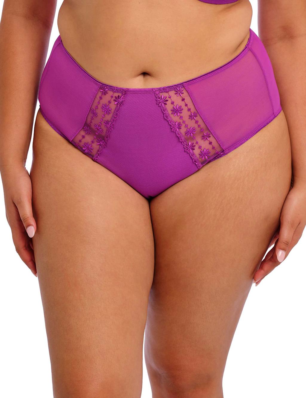 Matilda Mesh & Lace Full Briefs