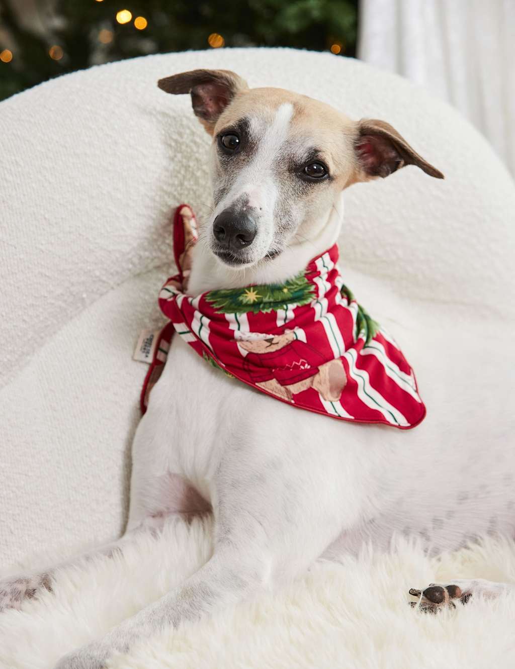Chelsea Peers Christmas Patterned Pet Neckerchief Red Mix