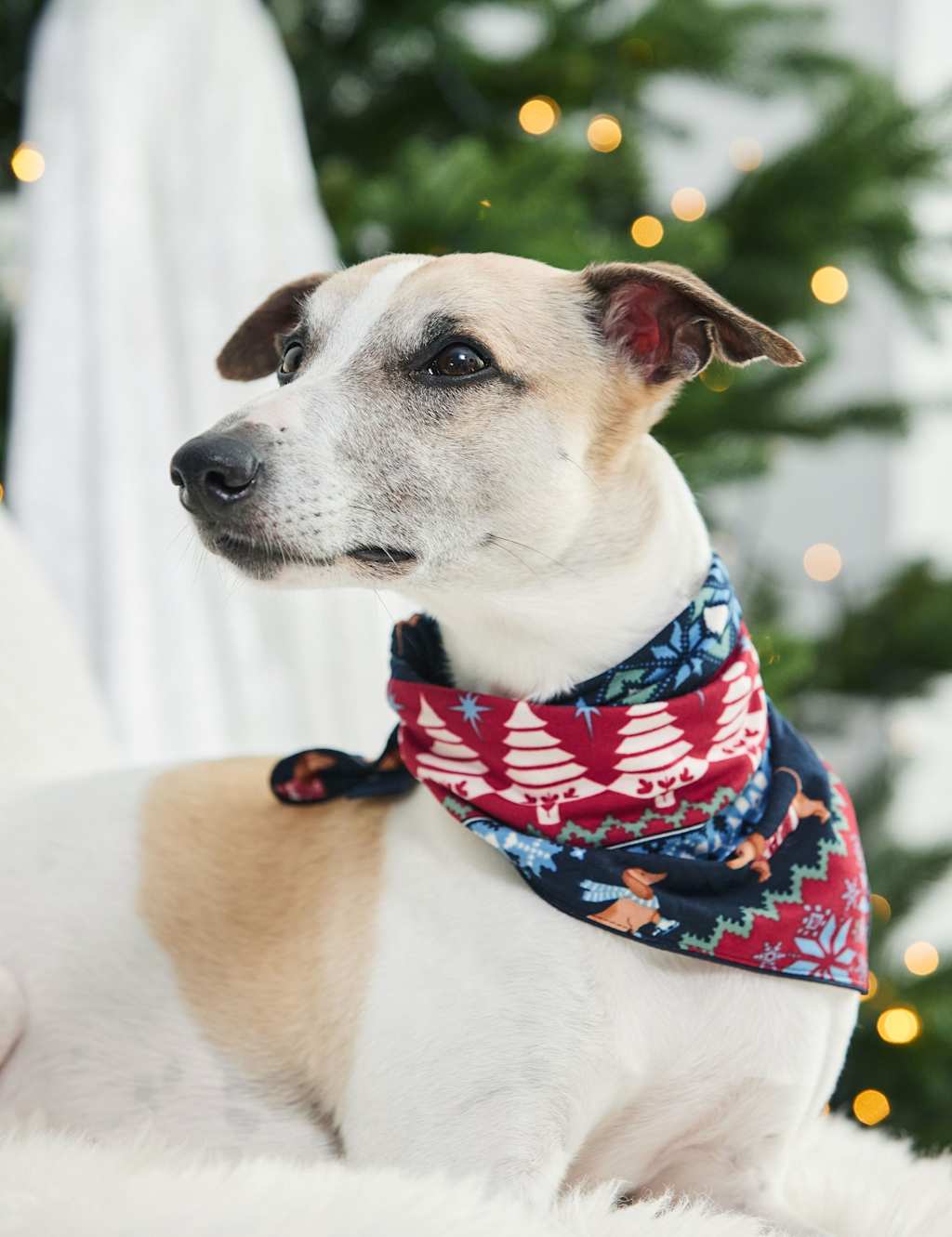Chelsea Peers Christmas Patterned Pet Neckerchief Navy Mix