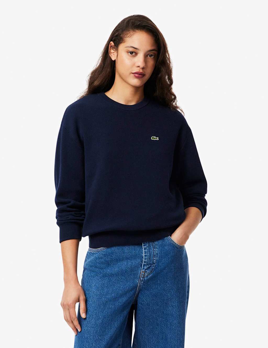 Lacoste Cotton Rich Jumper with Wool Navy