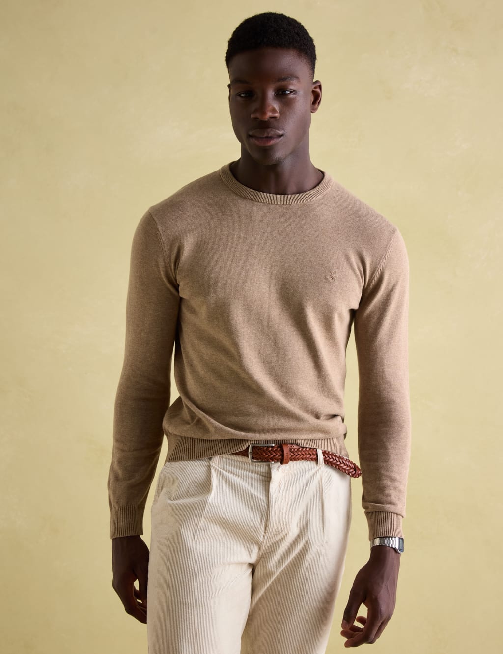 Pure Cotton Crew Neck Jumper