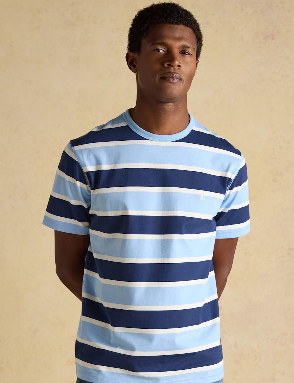 Joules Men's Pure Cotton Striped Crew Neck T-Shirt - M - Blue Mix - Available at M&S