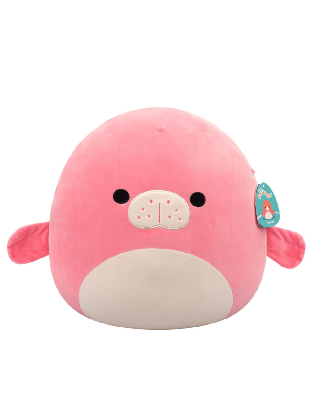 Morlai the Coral Manatee Plushie