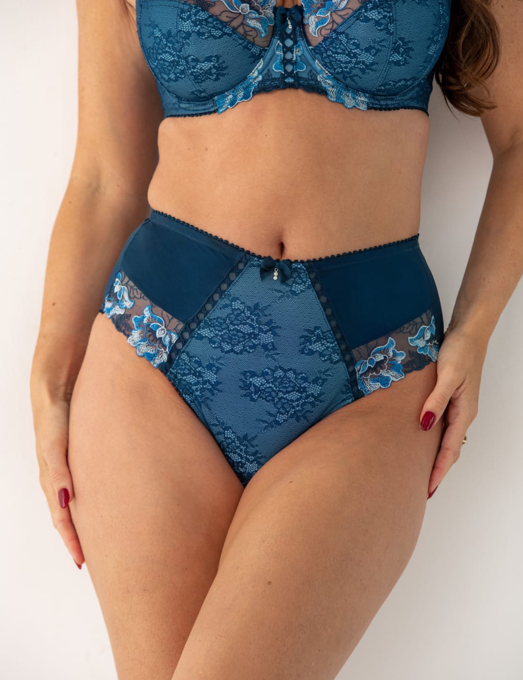 Sofia Lace Embroidered Full Briefs