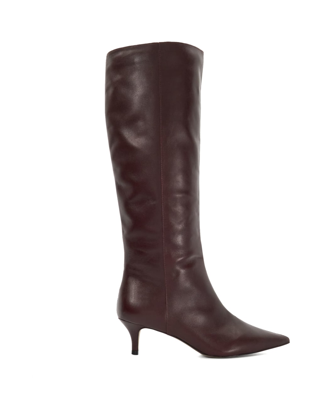 Leather Kitten Heel Pointed Knee High Boots