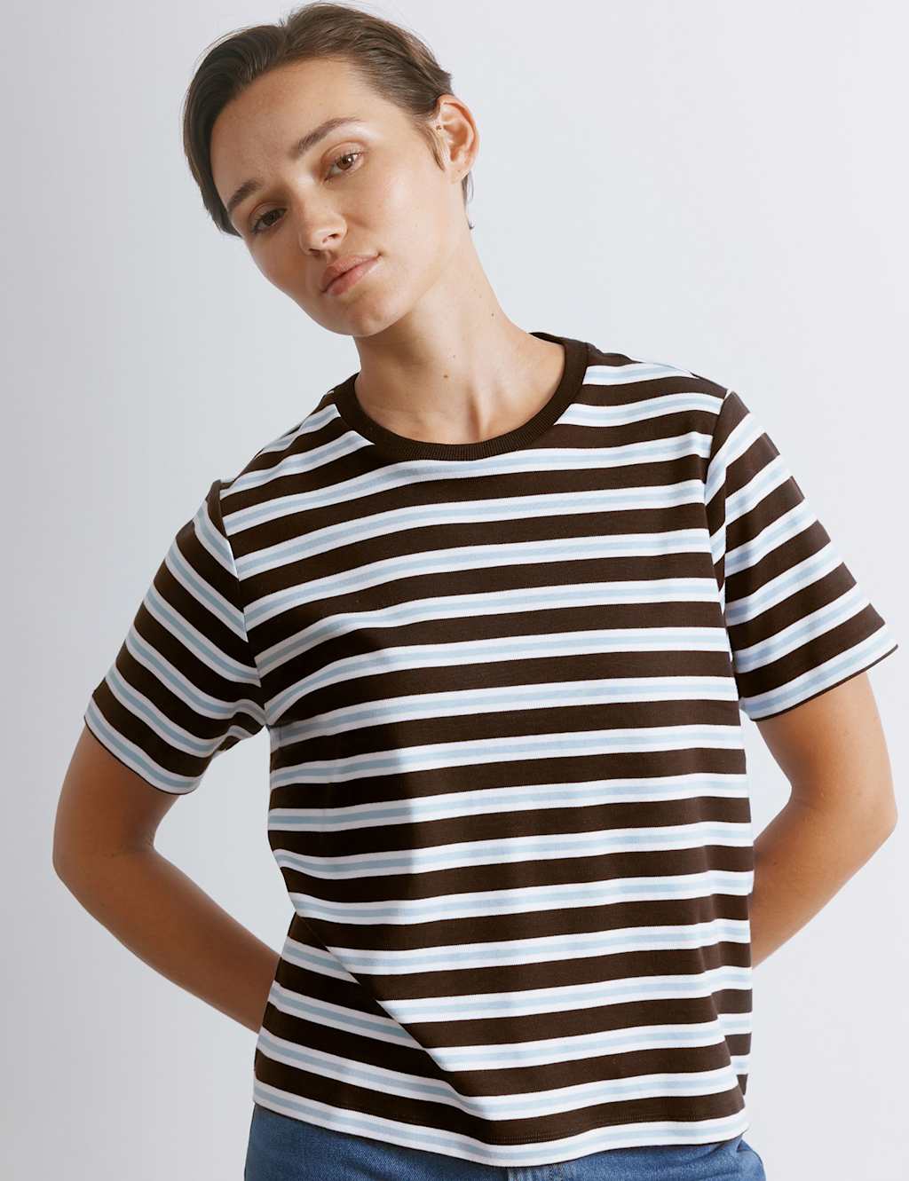 Albaray Pure Cotton Striped T-Shirt Brown Mix