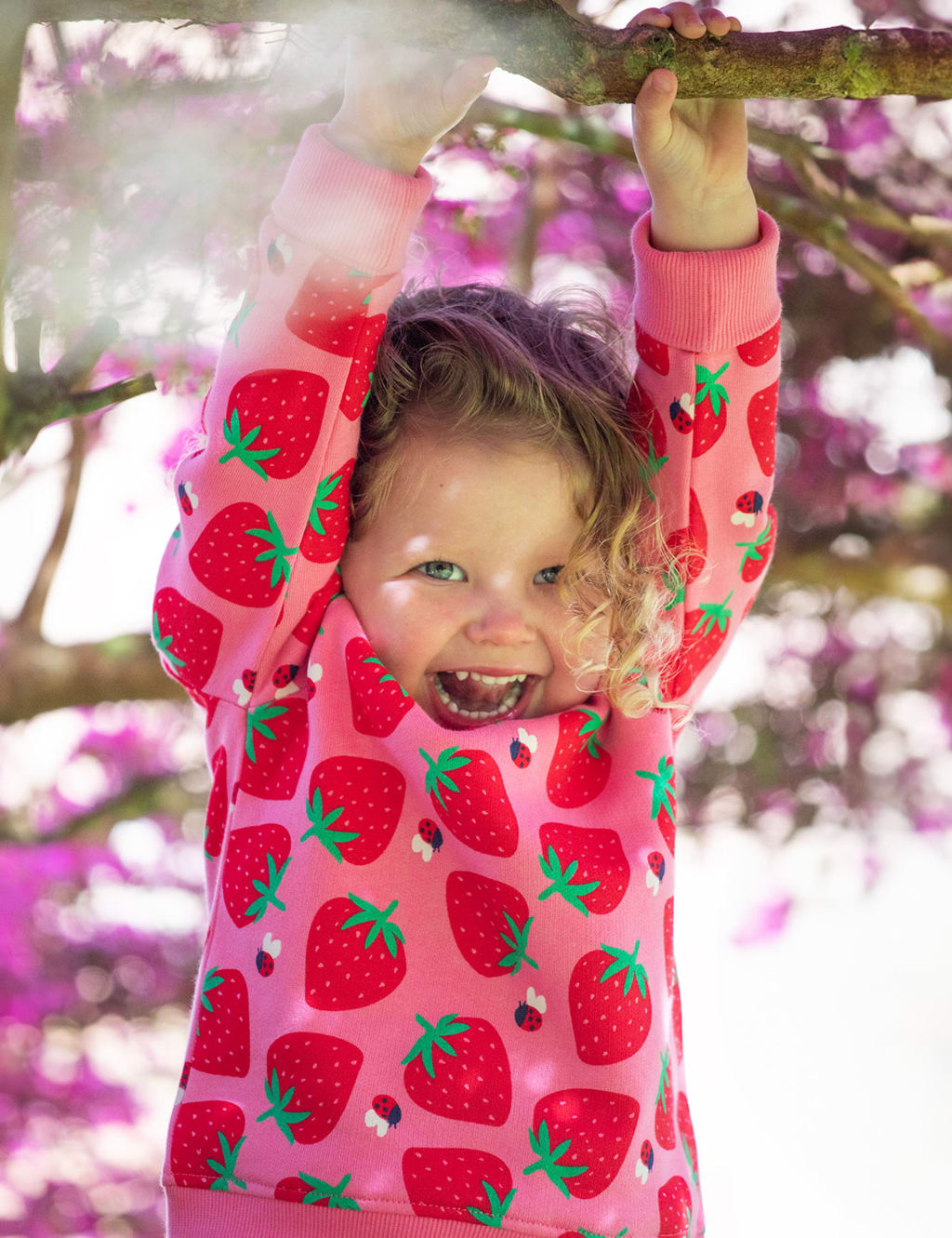 Pure Cotton Strawberry Sweatshirt (0-5 Yrs)