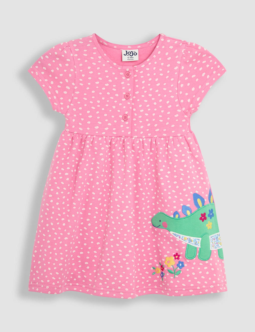 Pure Cotton Dinosaur Appliqué Dress (6 Mths - 5 Yrs)