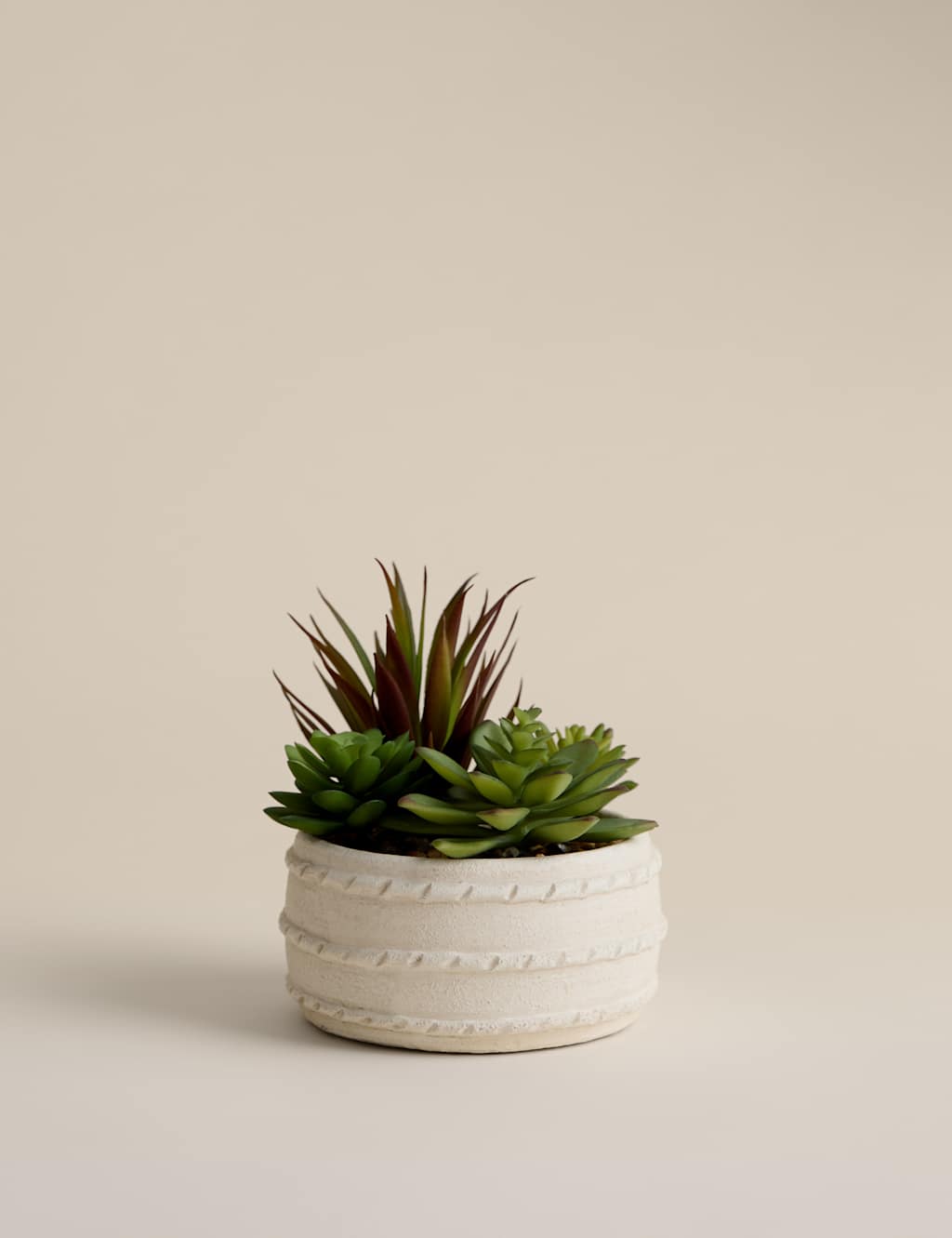 M&S Artificial Succulent in Ceramic Pot - Natural