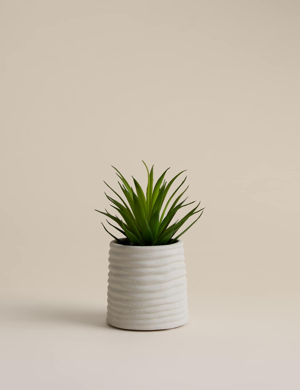 M&S Artificial Mini Air Plant in Ceramic Pot - Natural