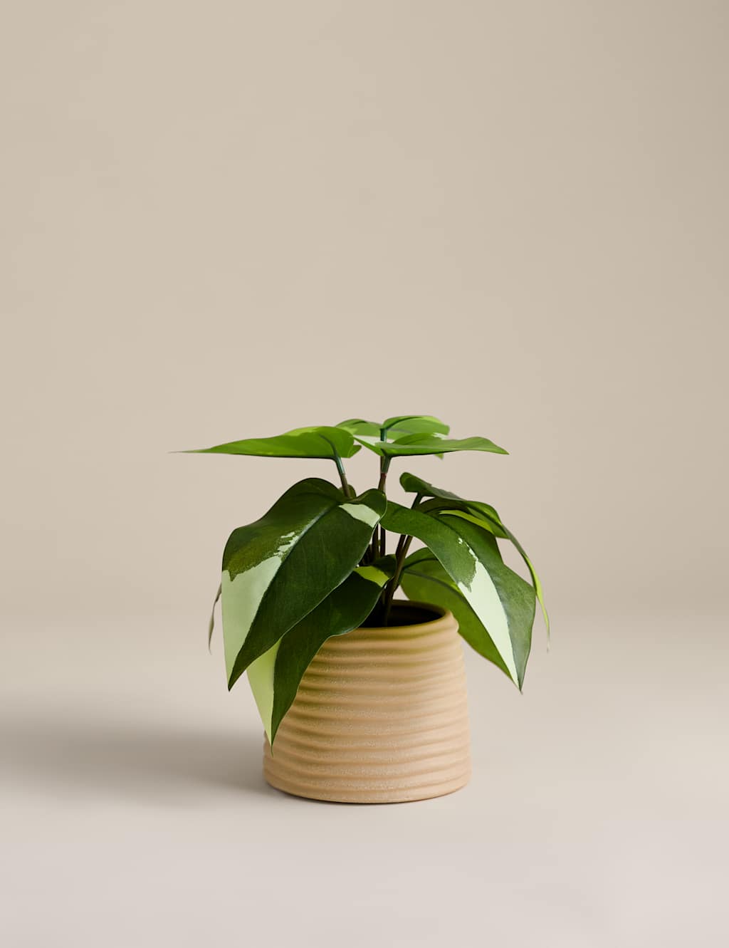M&S Artificial Heartleaf Philodendron in Ceramic Pot - Green
