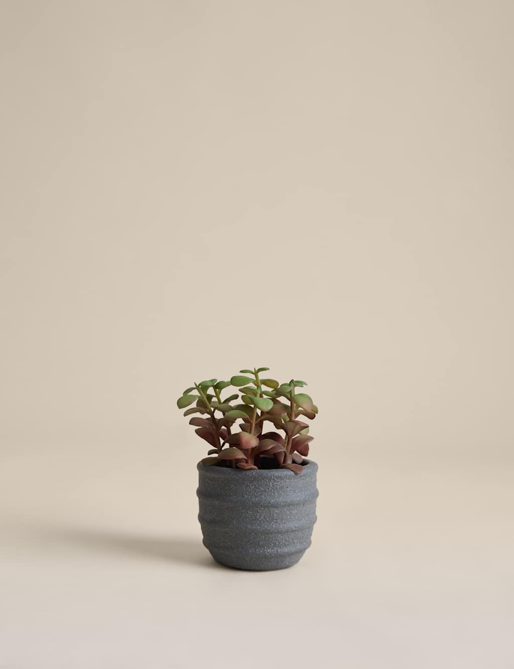 M&S Artificial Mini Succulent in Ridged Concrete Pot - Green
