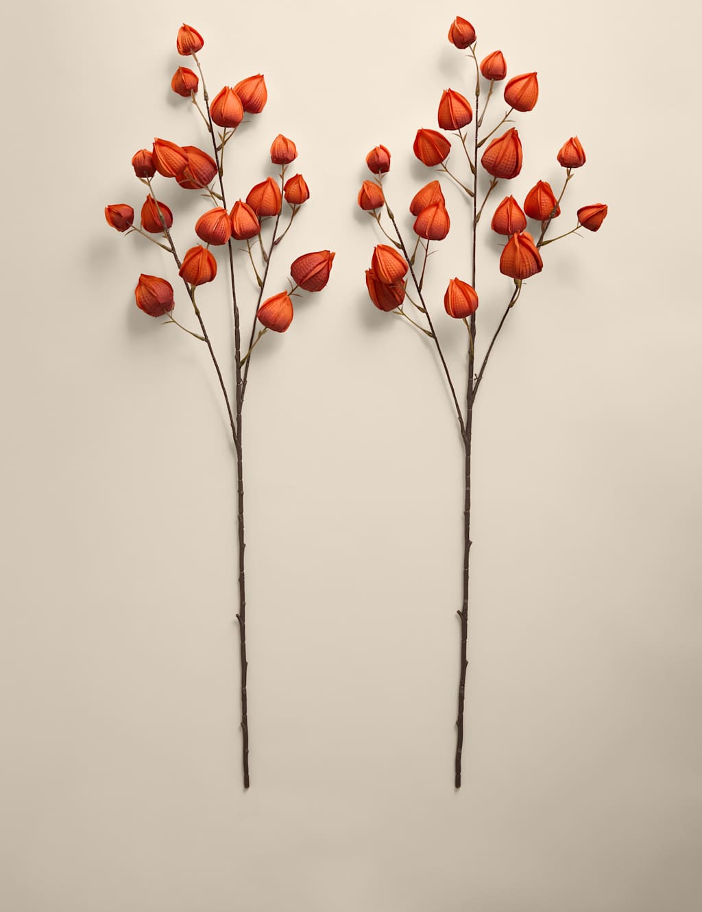 Moss & Sweetpea 2 Pack Artificial Chinese Lantern Single Stems Orange