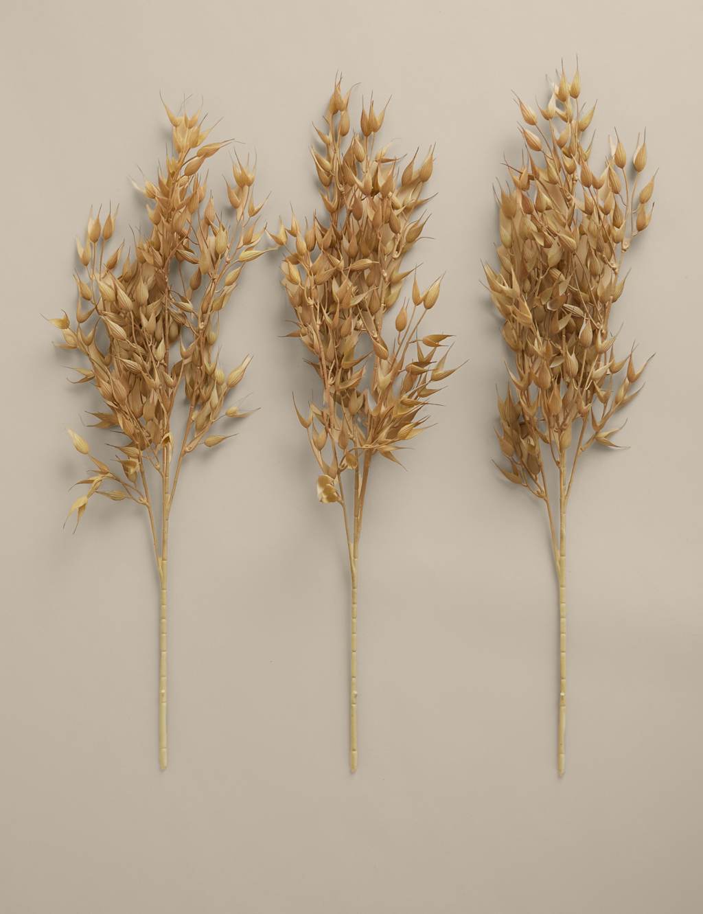 Moss & Sweetpea Set of 3 Artificial Ruscus Single Stems Neutral