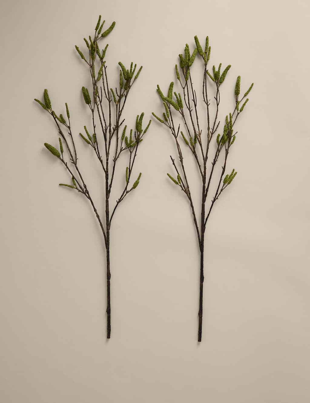 Moss & Sweetpea Set of 2 Artificial Catkin Single Stems Green