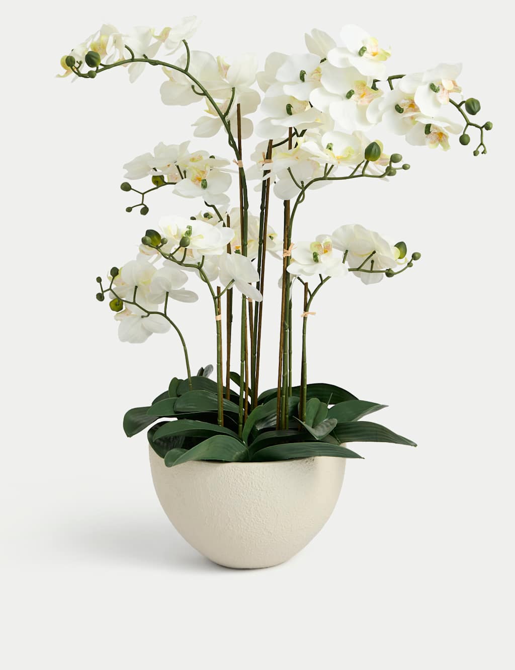 Artificial Extra Large Orchid in Ceramic Pot