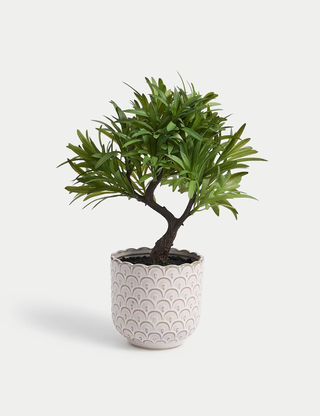 Artificial Bonsai Tree in Scallop Ceramic Pot