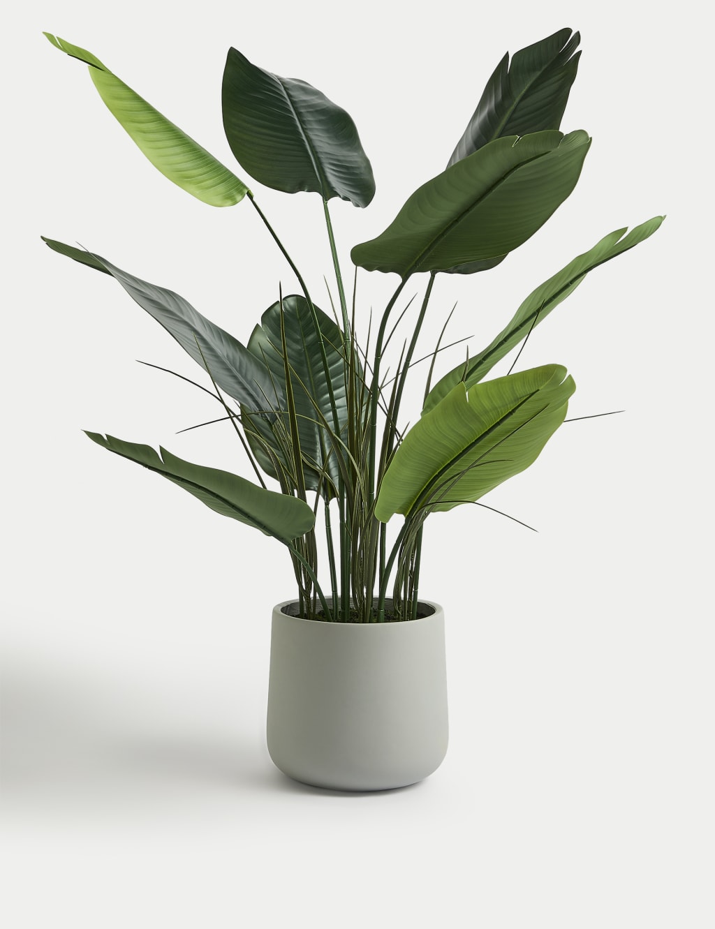 Artificial Large Banana Plant in Concrete Pot