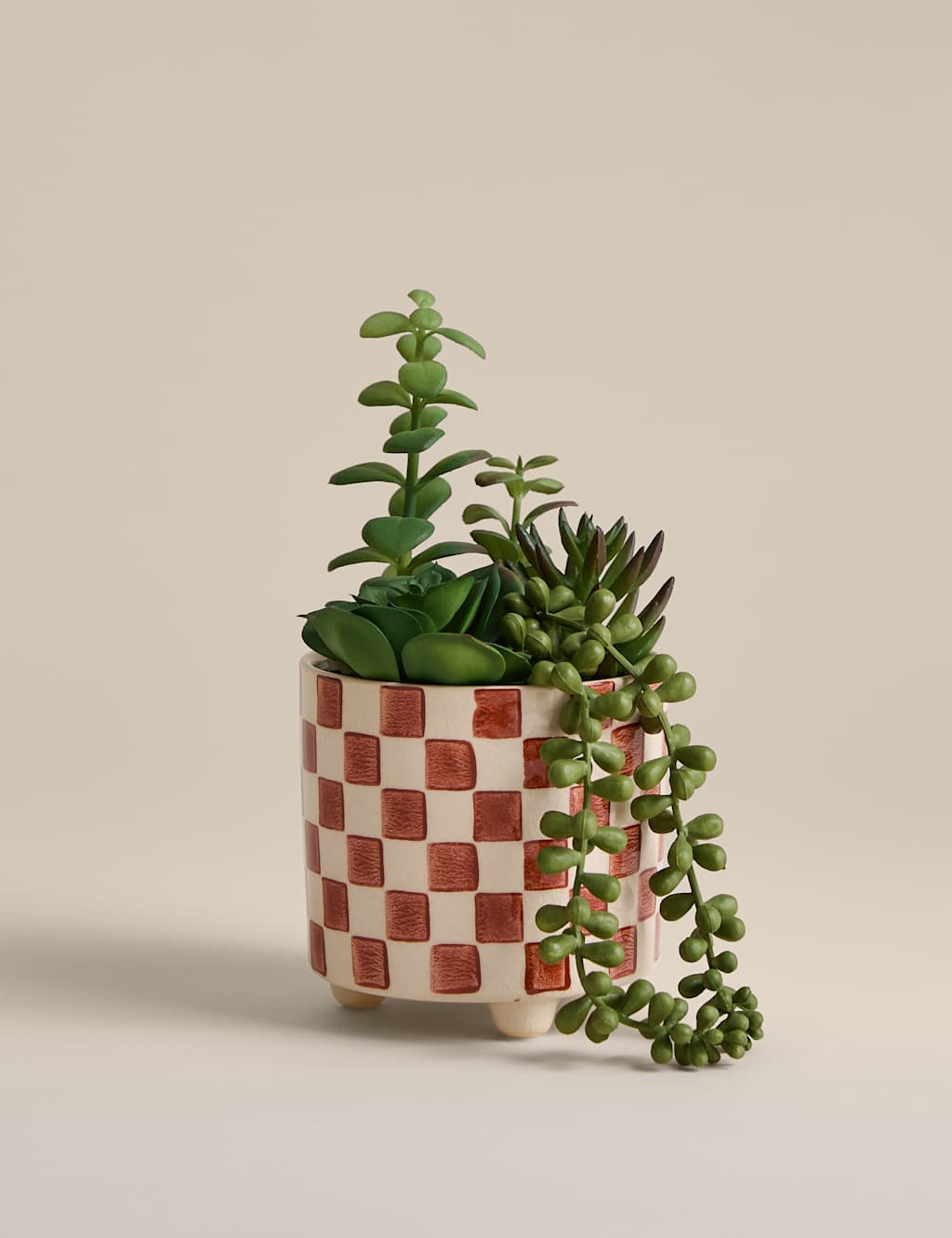 Moss & Sweetpea Artificial Succulent Family in Checked Pot Red