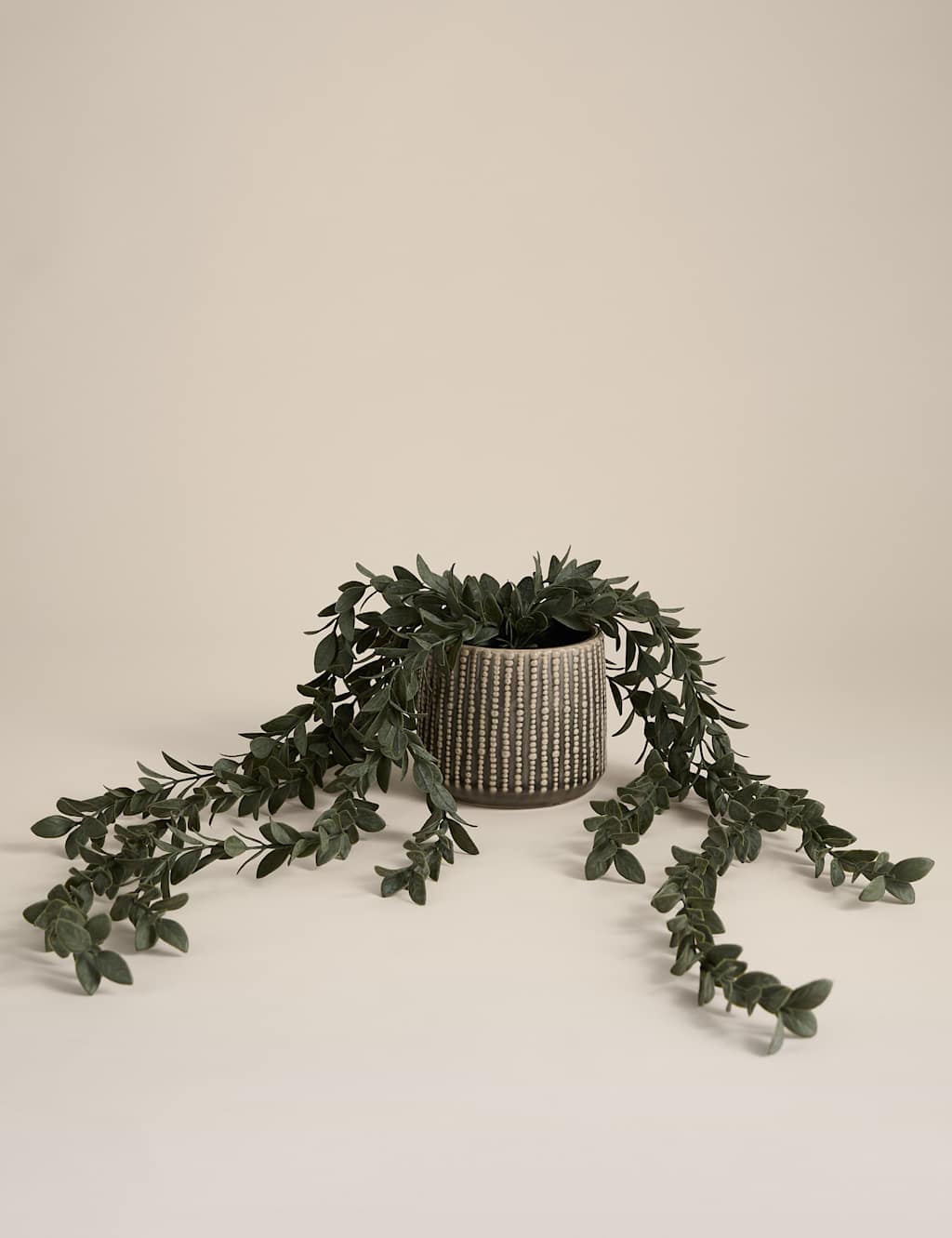 Moss & Sweetpea Artificial Trailing Boxwood in Ceramic Pot Grey