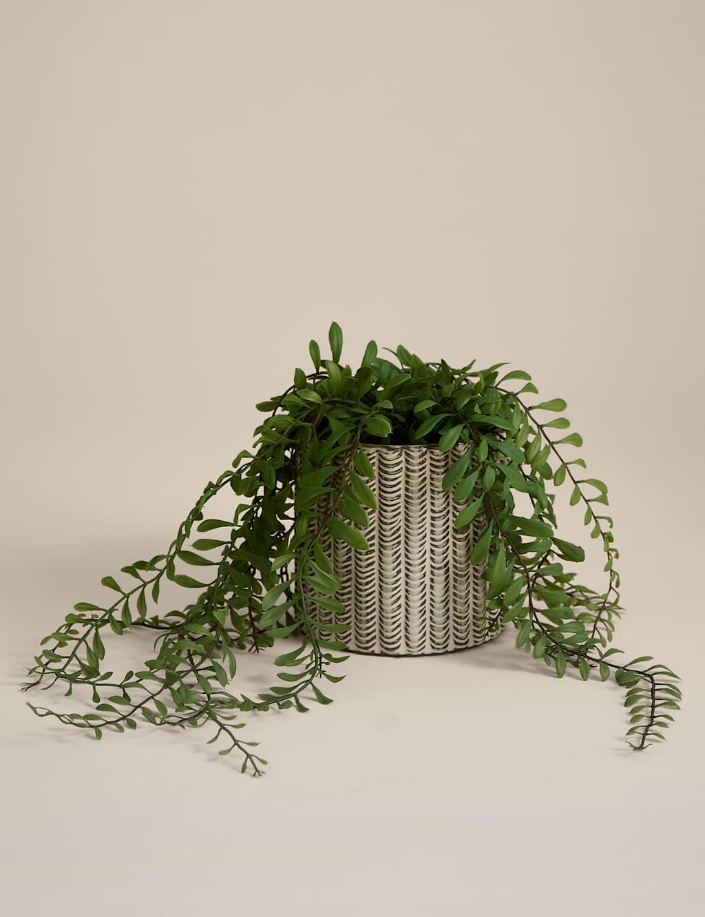 Moss & Sweetpea Artificial Trailing Fern in Ceramic Pot Natural