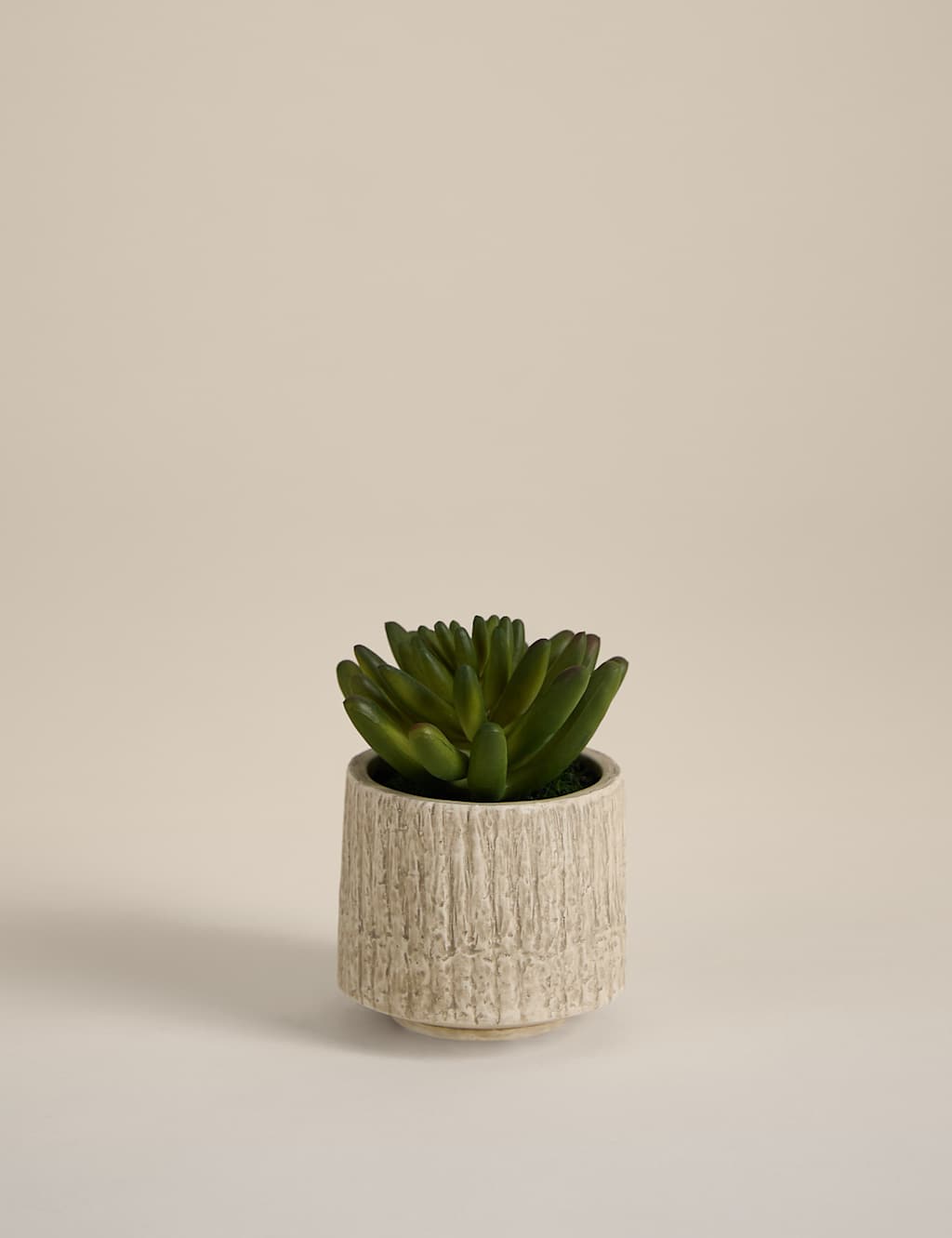 Moss & Sweetpea Artificial Mini Succulent in Textured Cement Pot Brown
