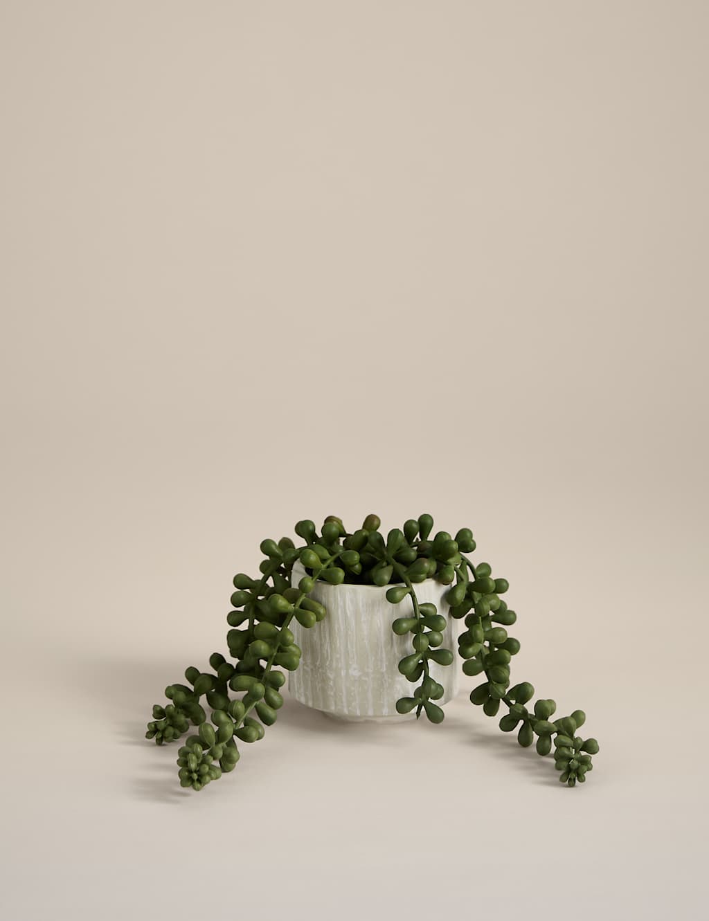 Moss & Sweetpea Artificial Baby String of Pearls in Ceramic Pot White