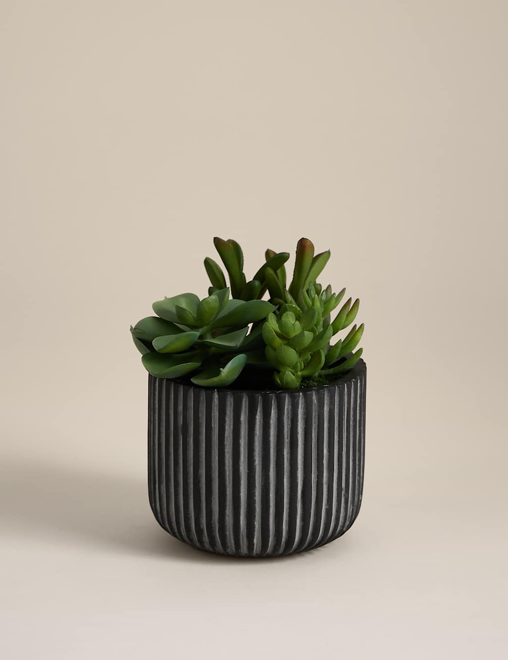 Moss & Sweetpea Artificial Succulents in Ridged Cement Pot Black