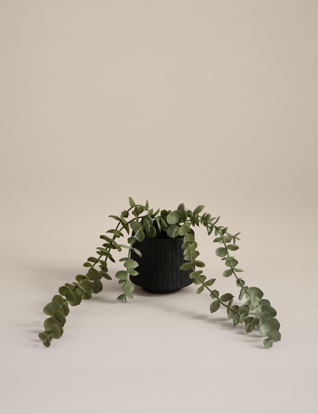 Moss & Sweetpea Artificial Trailing Baby Plant in Textured Ceramic Pot Black