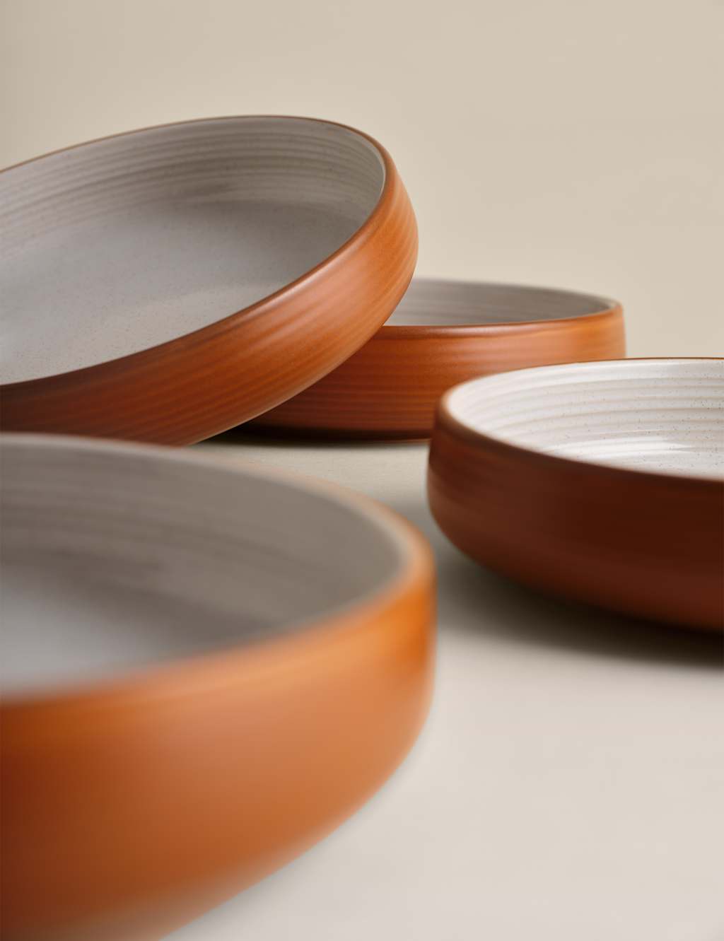 Set of 4 Michigan Pasta Bowls