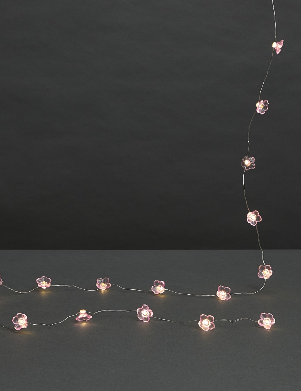 20 Warm White Flower Battery String Lights