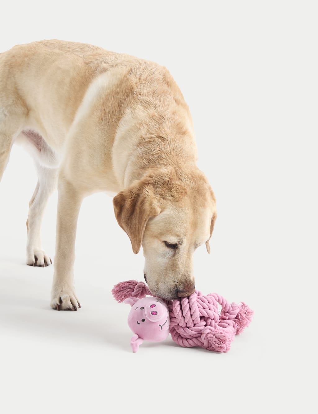 Percy Pig™ Pet Toy