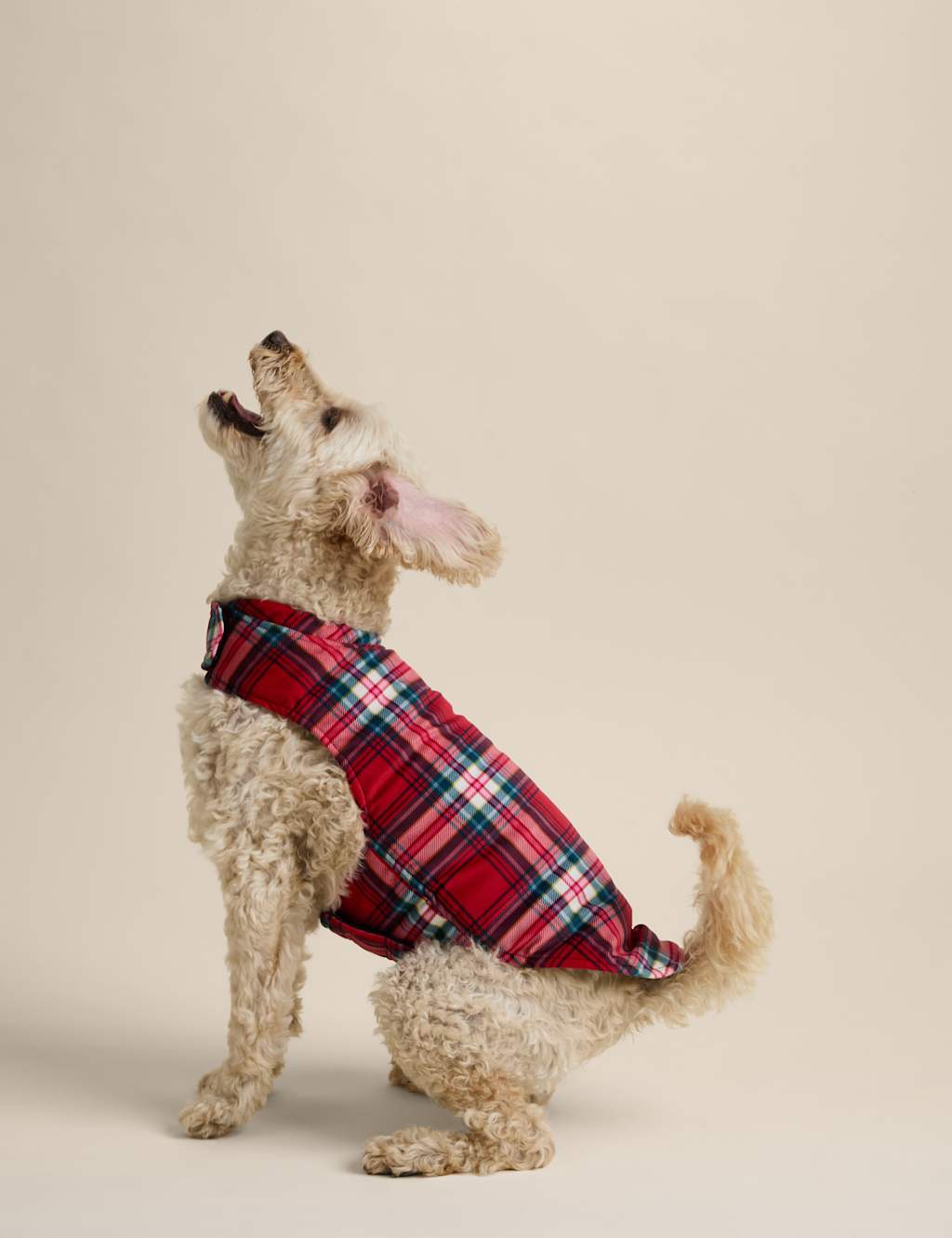 M&S Check Dog Jumper Red Mix