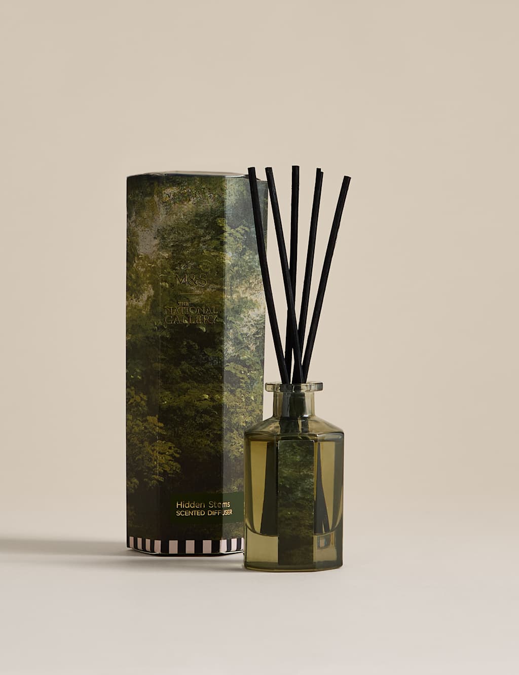 M&S X National Gallery Hidden Stems 100ml Diffuser Green