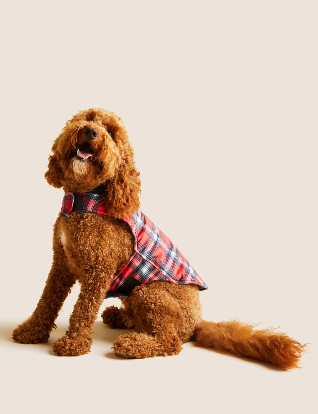 M&S Personalised Checked Jumper for Pets Red Mix