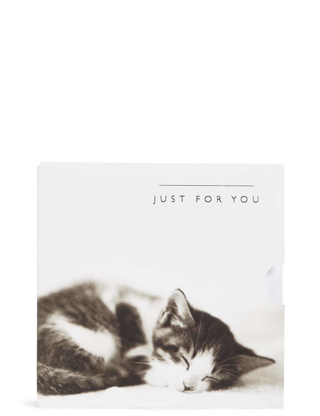 Cute Kitten Gift Card